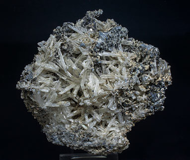 Olshanskyite with Andradite, Wurtzite and Galena. 