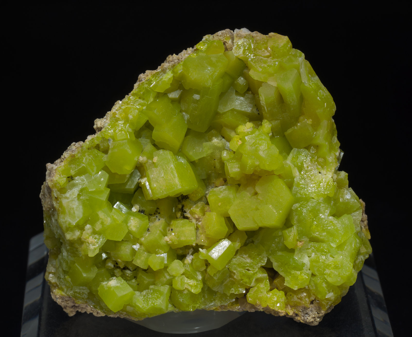 specimens/s_imagesAB8/Pyromorphite-N91YAB8f.jpg