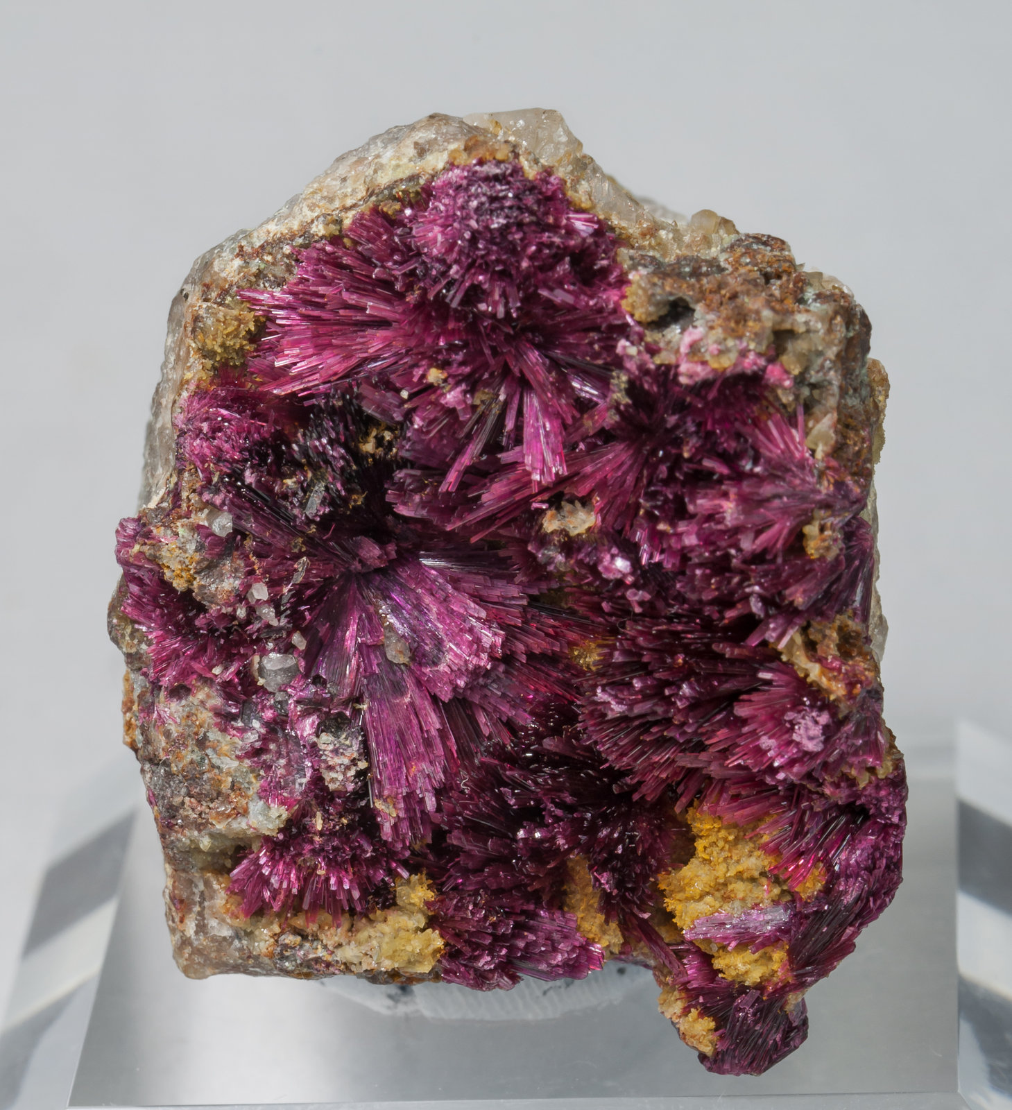 specimens/s_imagesAB9/Erythrite-EA28AB9f.jpg