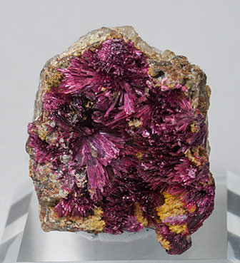 Erythrite with Phlogopite and Quartz. 