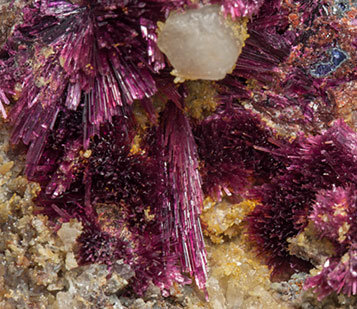 Erythrite with Phlogopite and Quartz. 