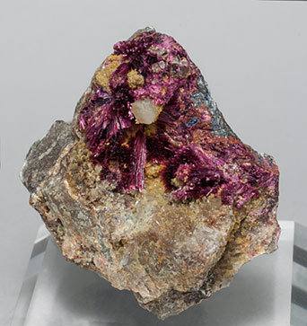 Erythrite with Phlogopite and Quartz. 