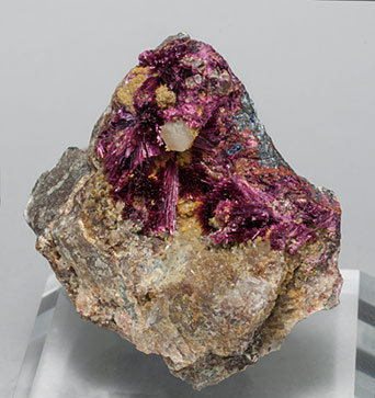 Erythrite with Phlogopite and Quartz.