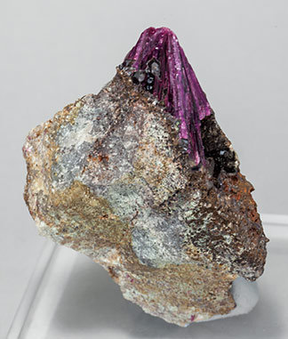 Erythrite with Phlogopite and Quartz. 