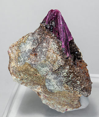 Erythrite with Phlogopite and Quartz.