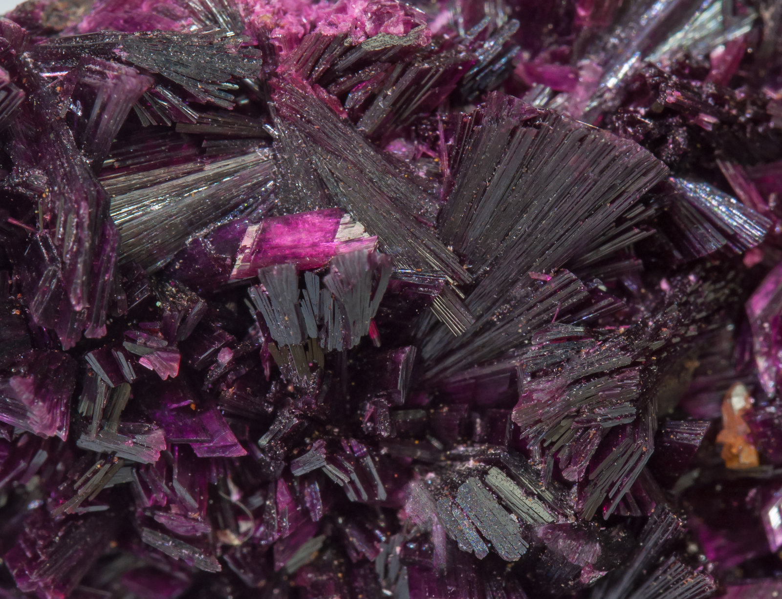 specimens/s_imagesAB9/Erythrite-EE68AB9d.jpg