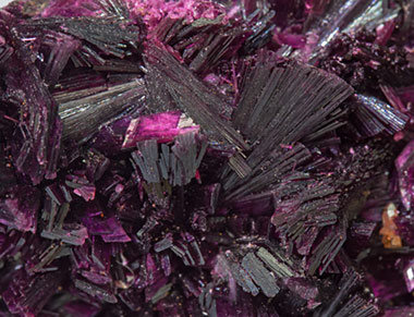 Erythrite with Phlogopite. 