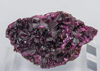 Erythrite with Phlogopite.