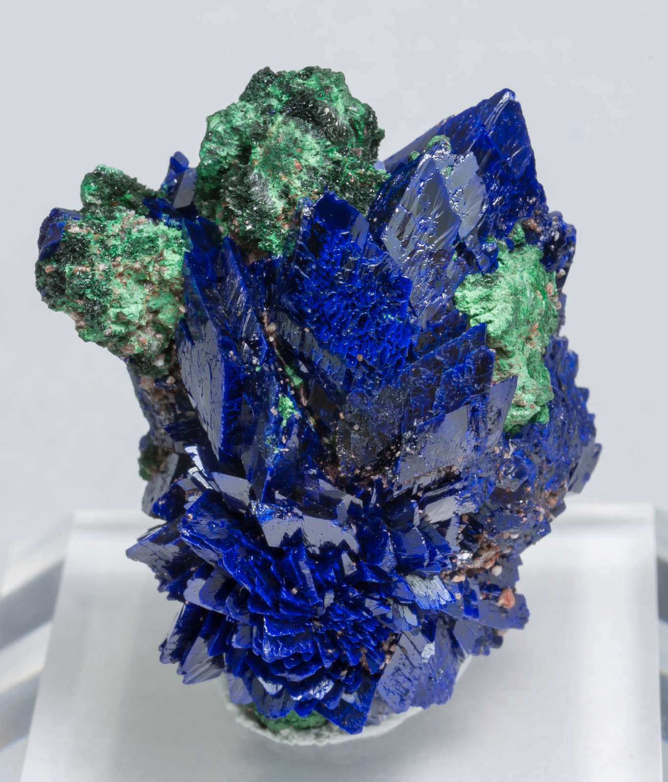 specimens/s_imagesAC0/Azurite-ET47AC0f.jpg