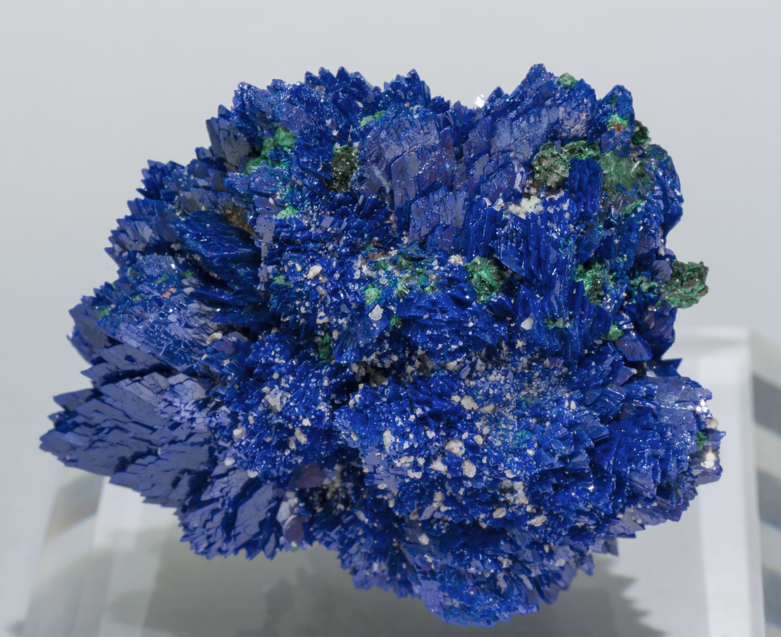 specimens/s_imagesAC0/Azurite-EX51AC0r.jpg