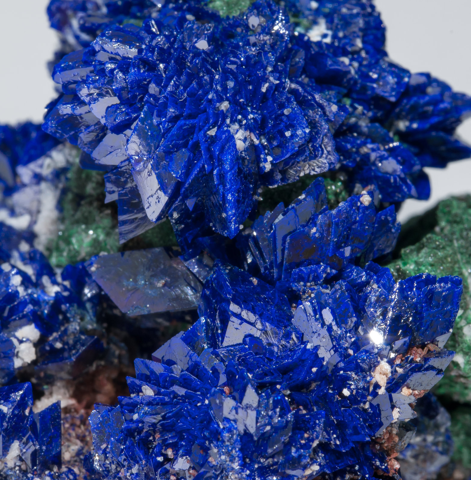 specimens/s_imagesAC0/Azurite-EY29AC0d.jpg