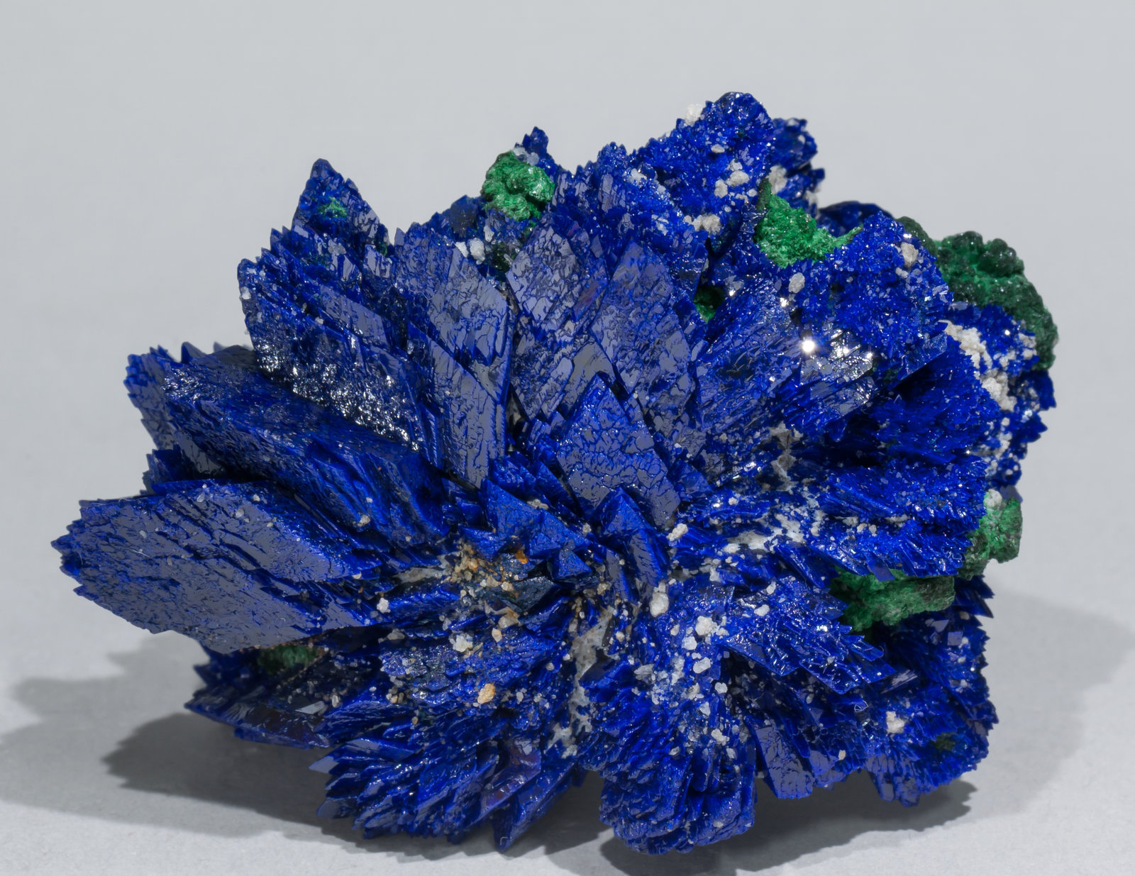 specimens/s_imagesAC0/Azurite-EZ70AC0s.jpg