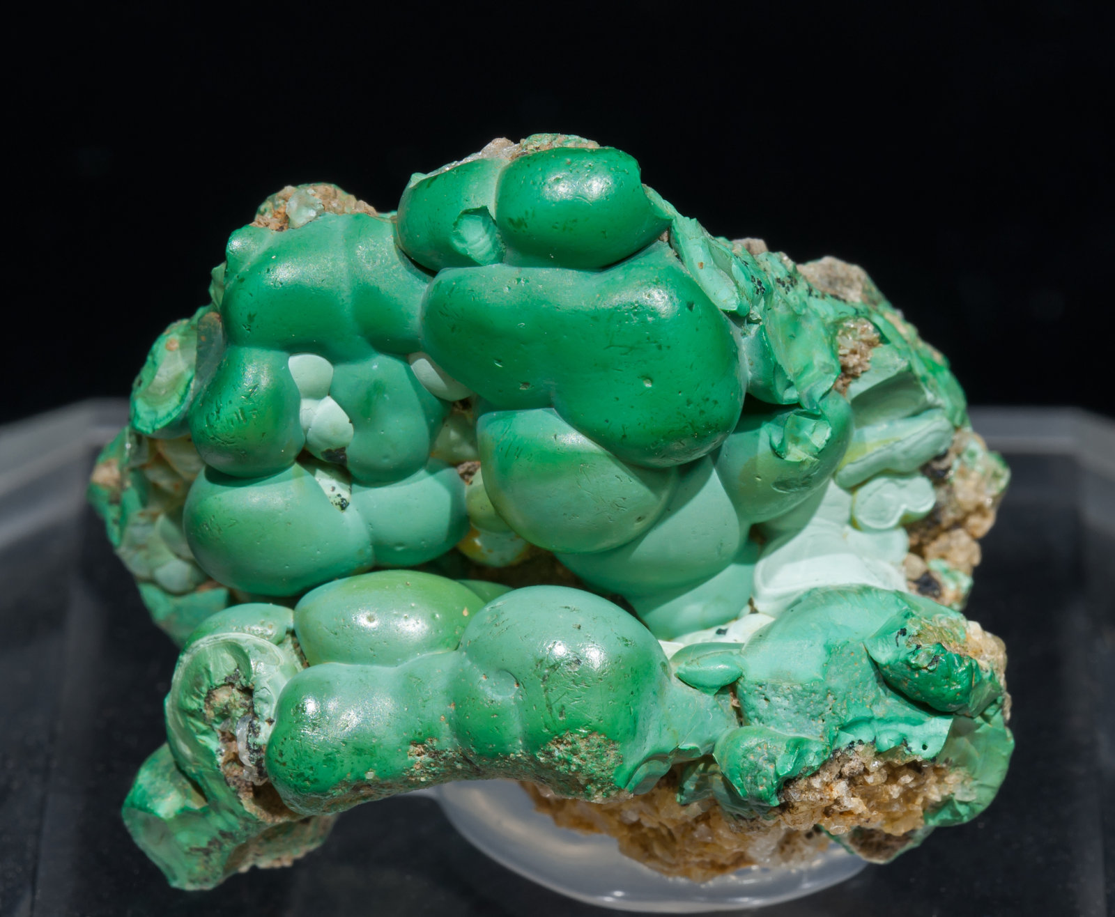 specimens/s_imagesAC0/Malachite-SF12AC0f.jpg