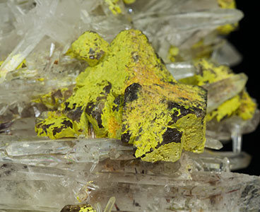 Stolzite on Scheelite and Quartz. 