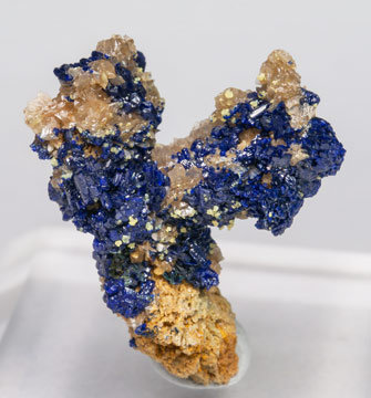 Miersite on Azurite and Cerussite.