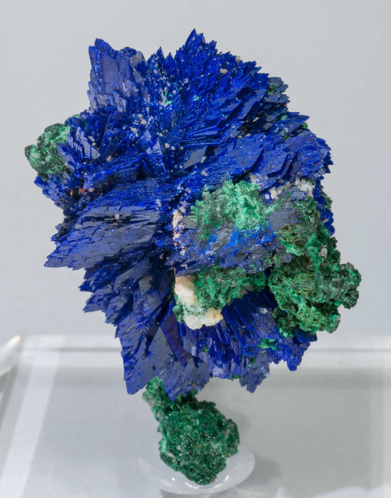 specimens/s_imagesAC2/Azurite-EB52AC2f.jpg