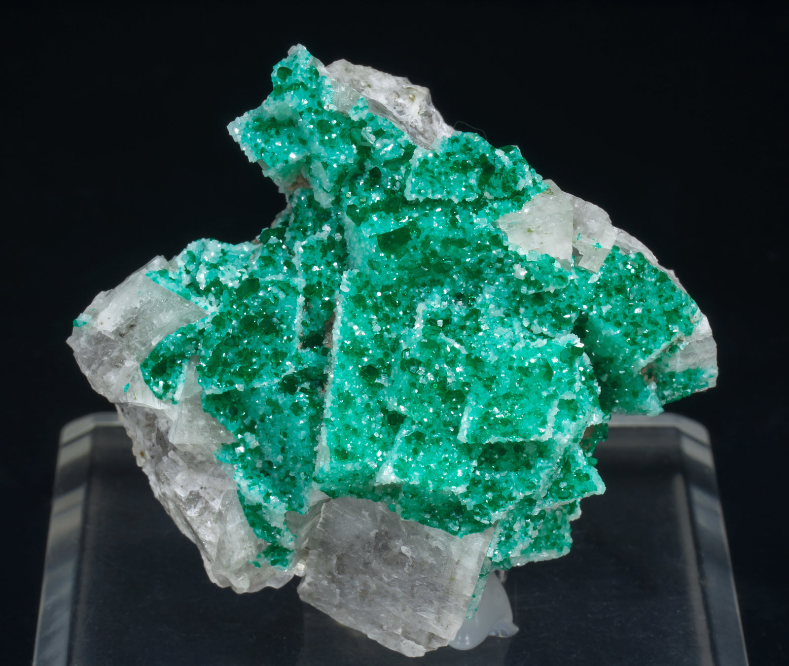 specimens/s_imagesAC2/Dioptase-TF50AC2f.jpg