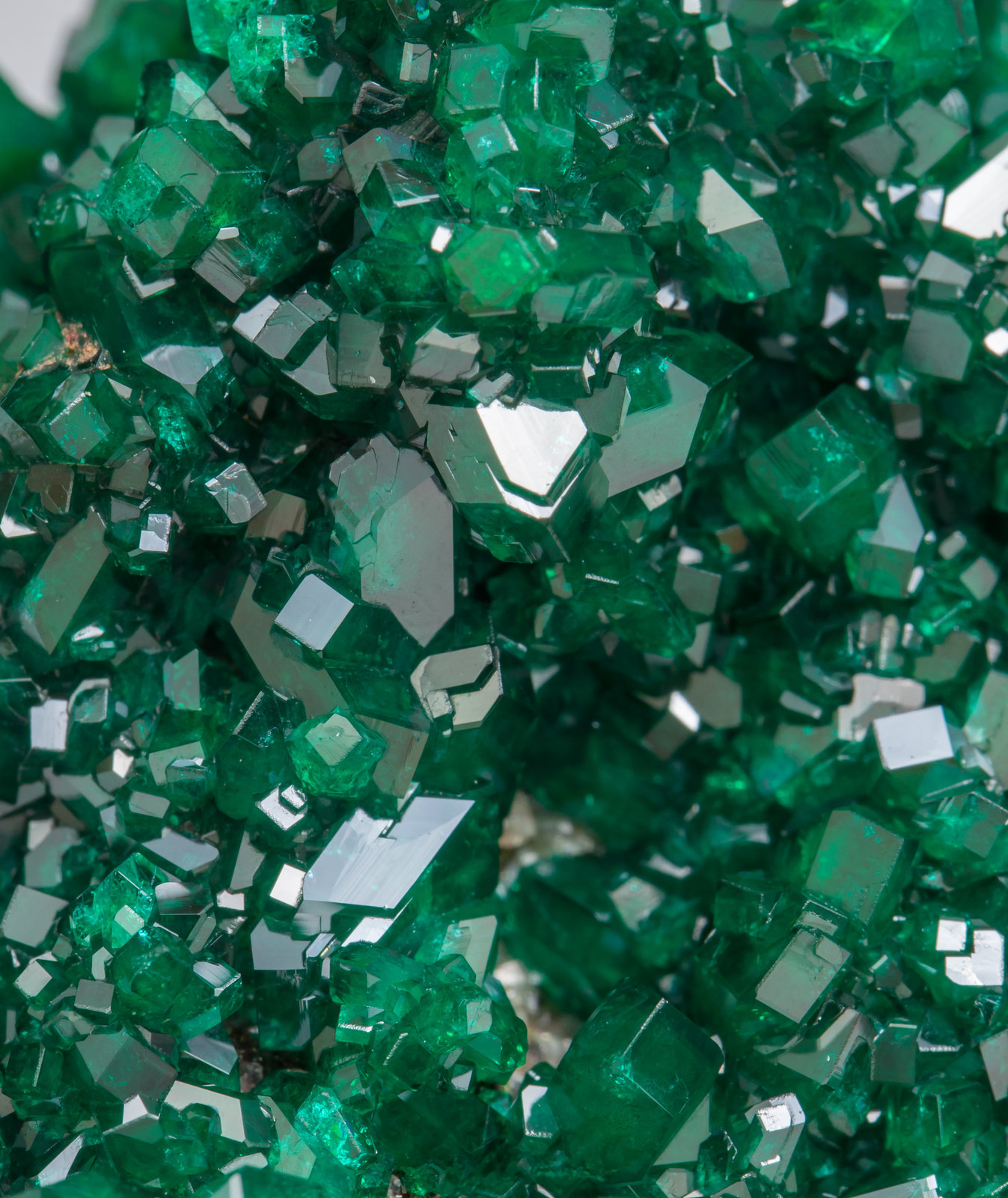 specimens/s_imagesAC2/Dioptase-TH68AC2d.jpg