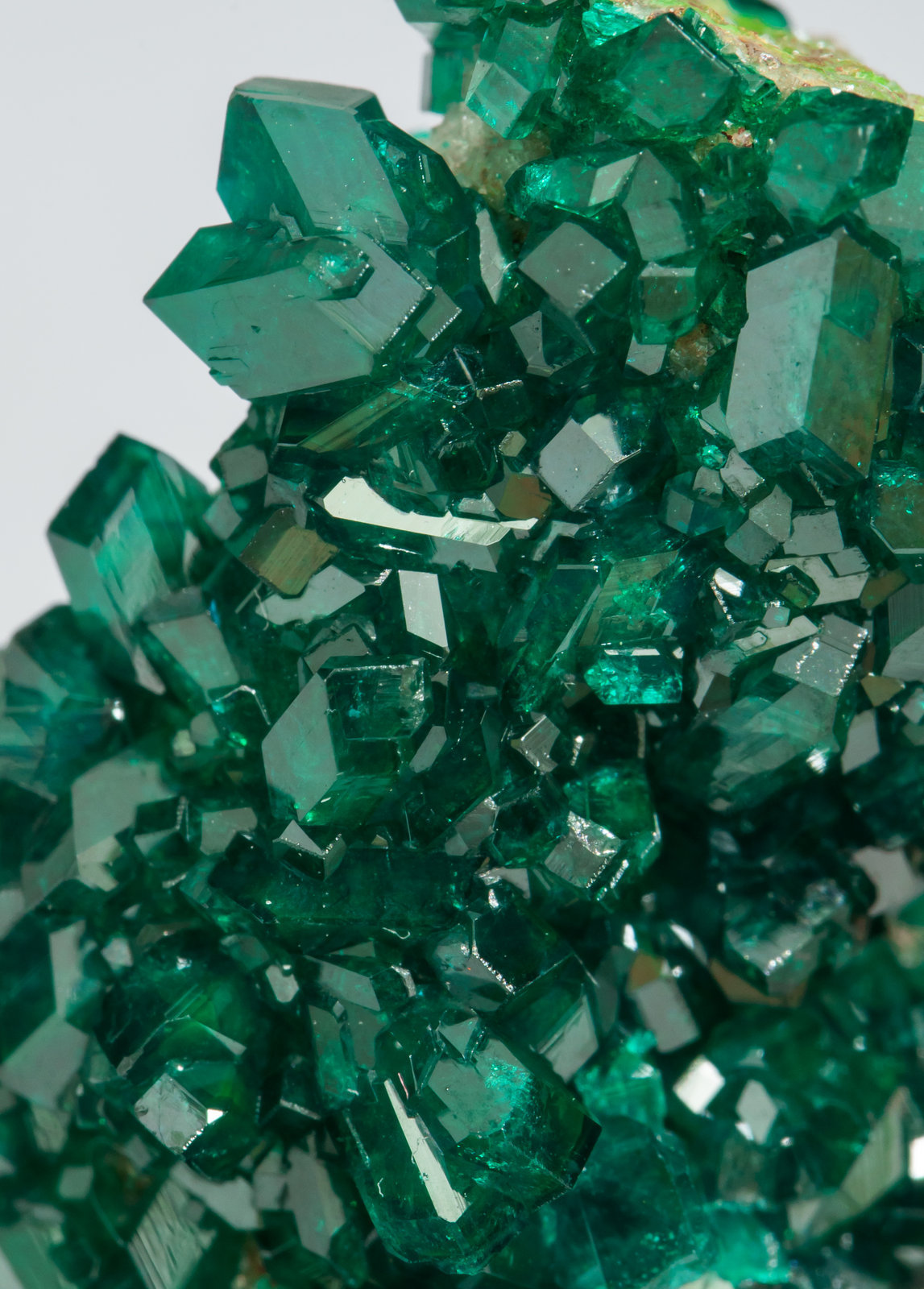 specimens/s_imagesAC2/Dioptase-TK96AC2d.jpg