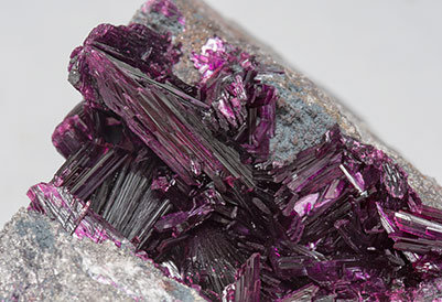 Erythrite with Phlogopite. 