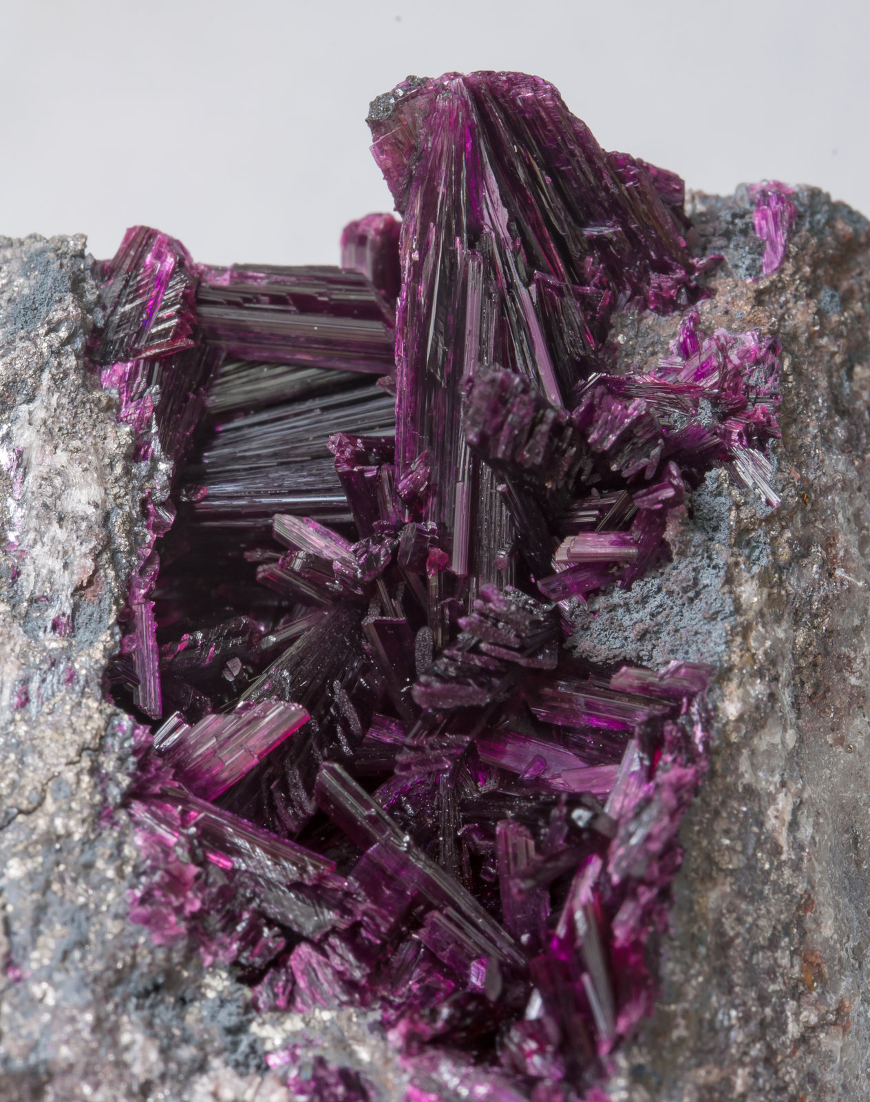 specimens/s_imagesAC2/Erythrite-EA88AC2d2.jpg