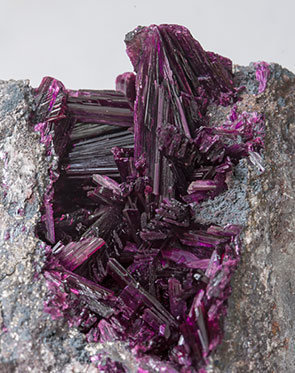 Erythrite with Phlogopite. 