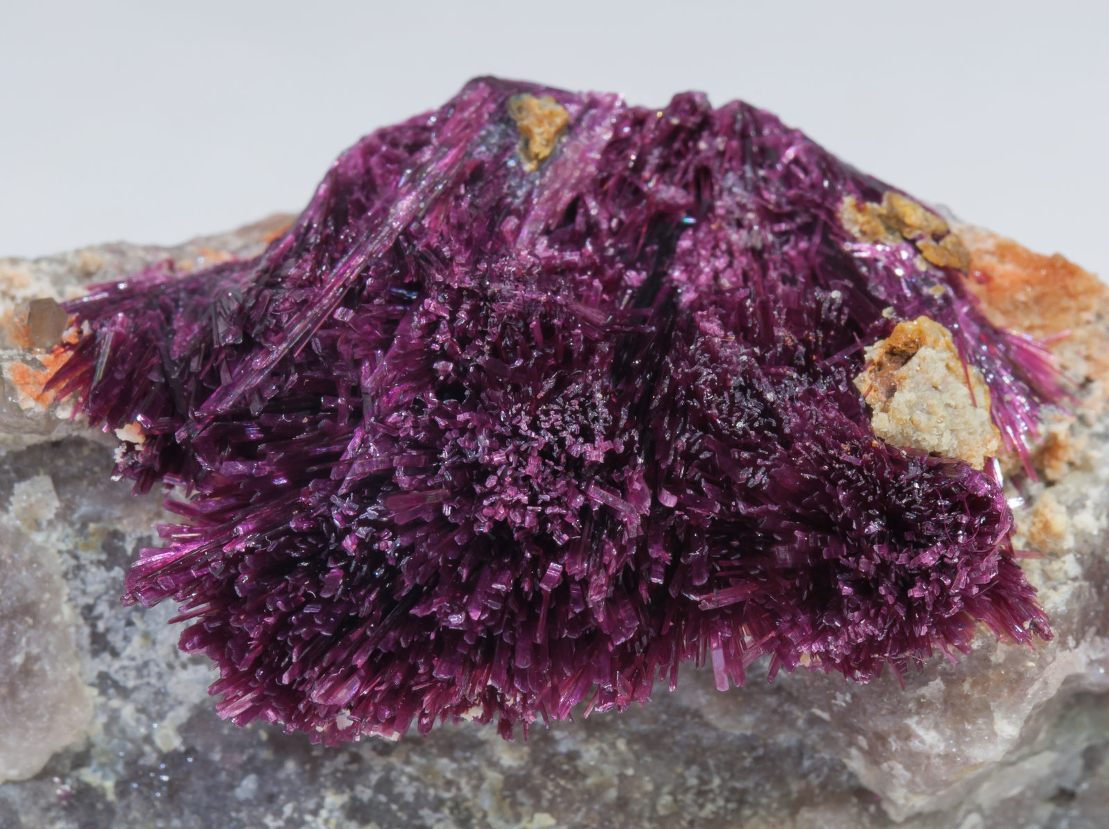 specimens/s_imagesAC2/Erythrite-EF16AC2d.jpg