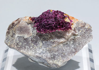 Erythrite with Phlogopite.