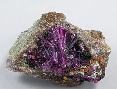 Erythrite with Phlogopite. 