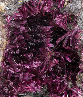 Erythrite with Phlogopite. 