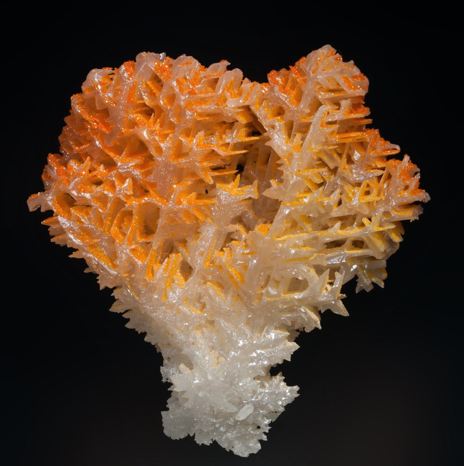 specimens/s_imagesAC2/Mimetite_vanadian-EE68AC2f.jpg