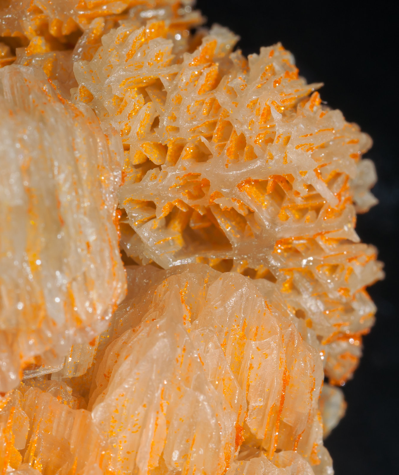 specimens/s_imagesAC2/Mimetite_vanadian-EF68AC2d.jpg