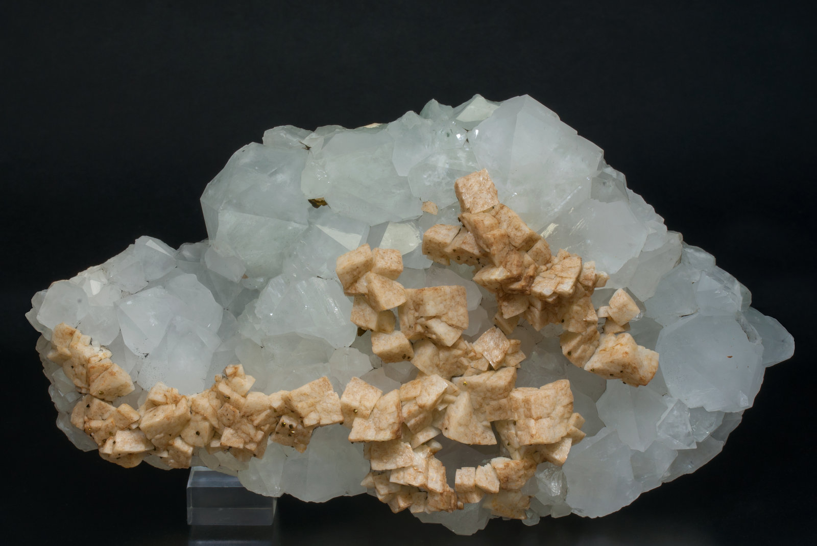 specimens/s_imagesAC3/Dolomite-SD99AC3f.jpg