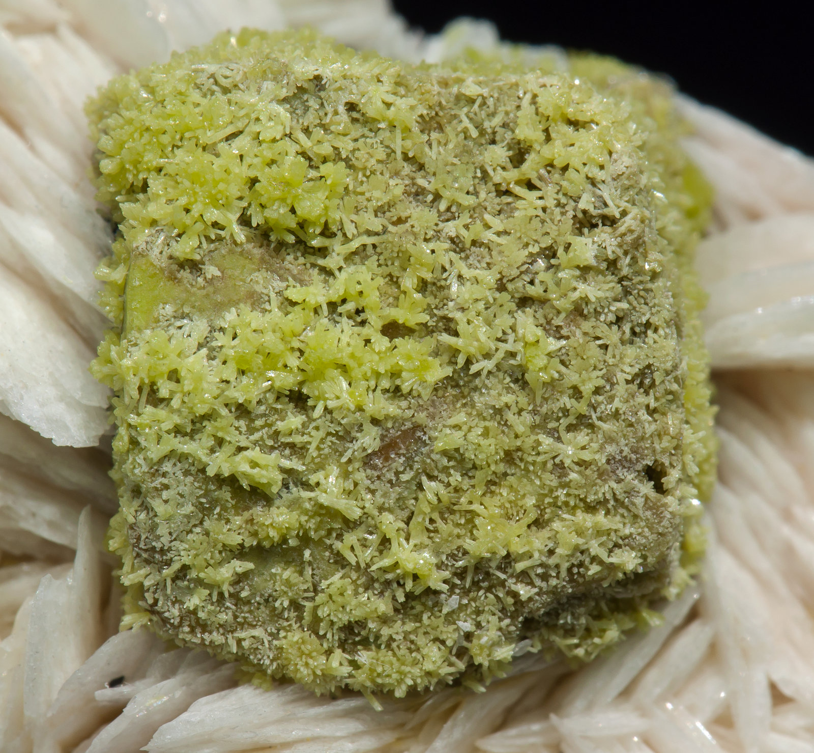 specimens/s_imagesAC3/Mimetite-NL12AC3d.jpg