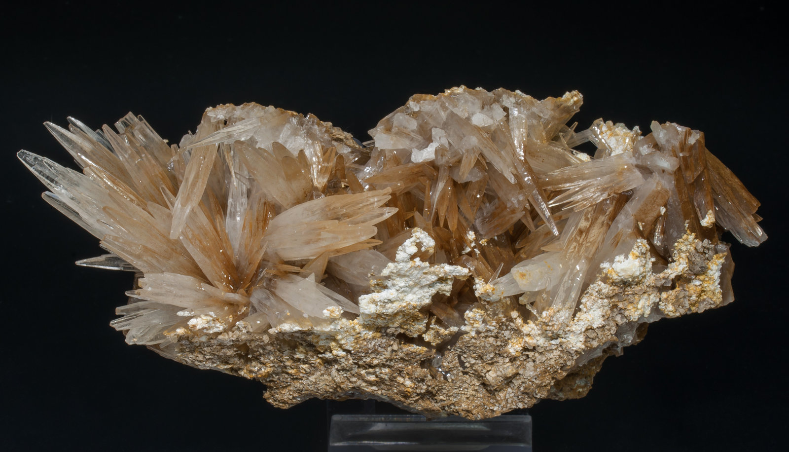 specimens/s_imagesAC4/Aragonite-MY96AC4t.jpg