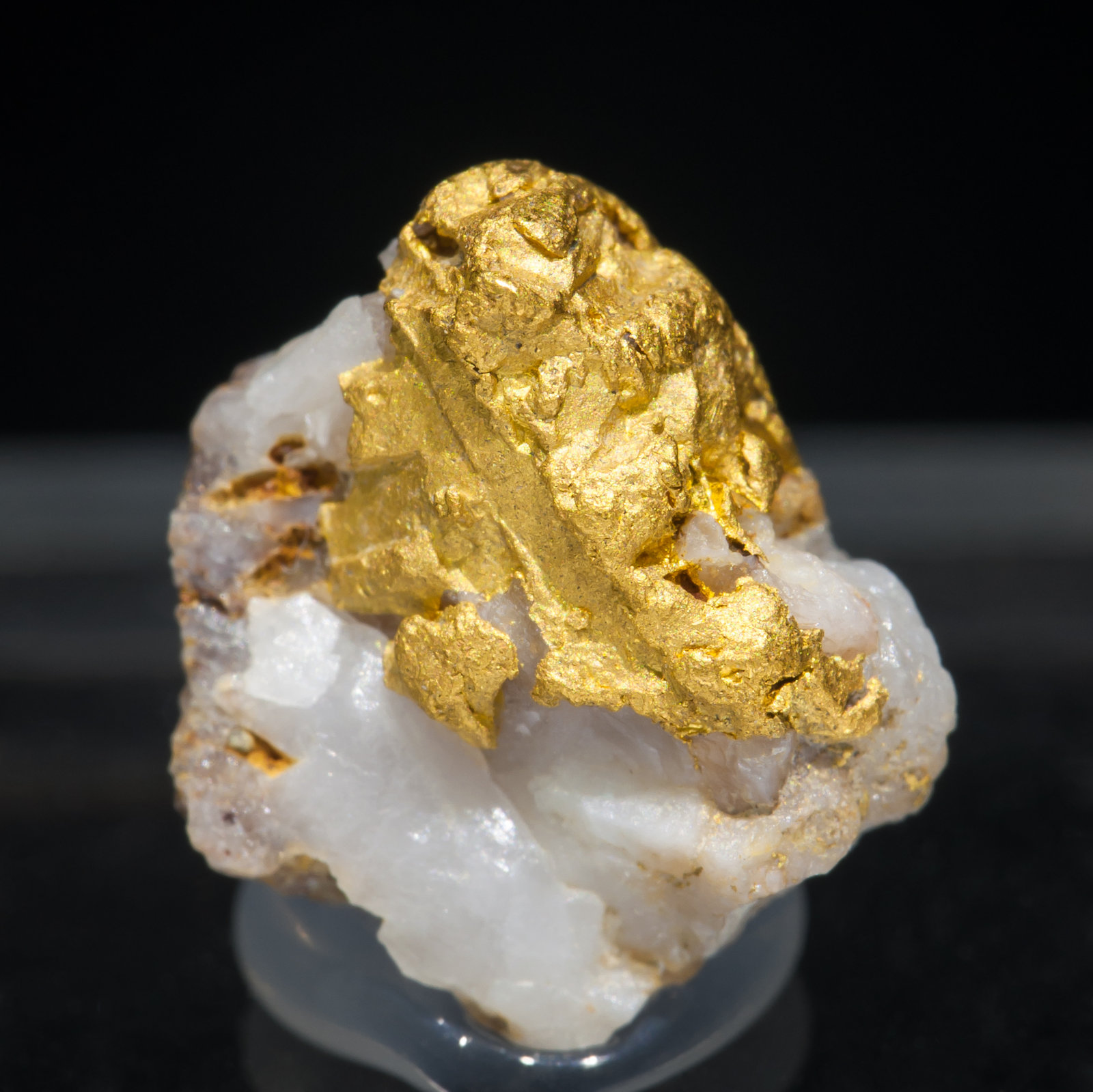 specimens/s_imagesAC4/Gold-ND67AC4f.jpg