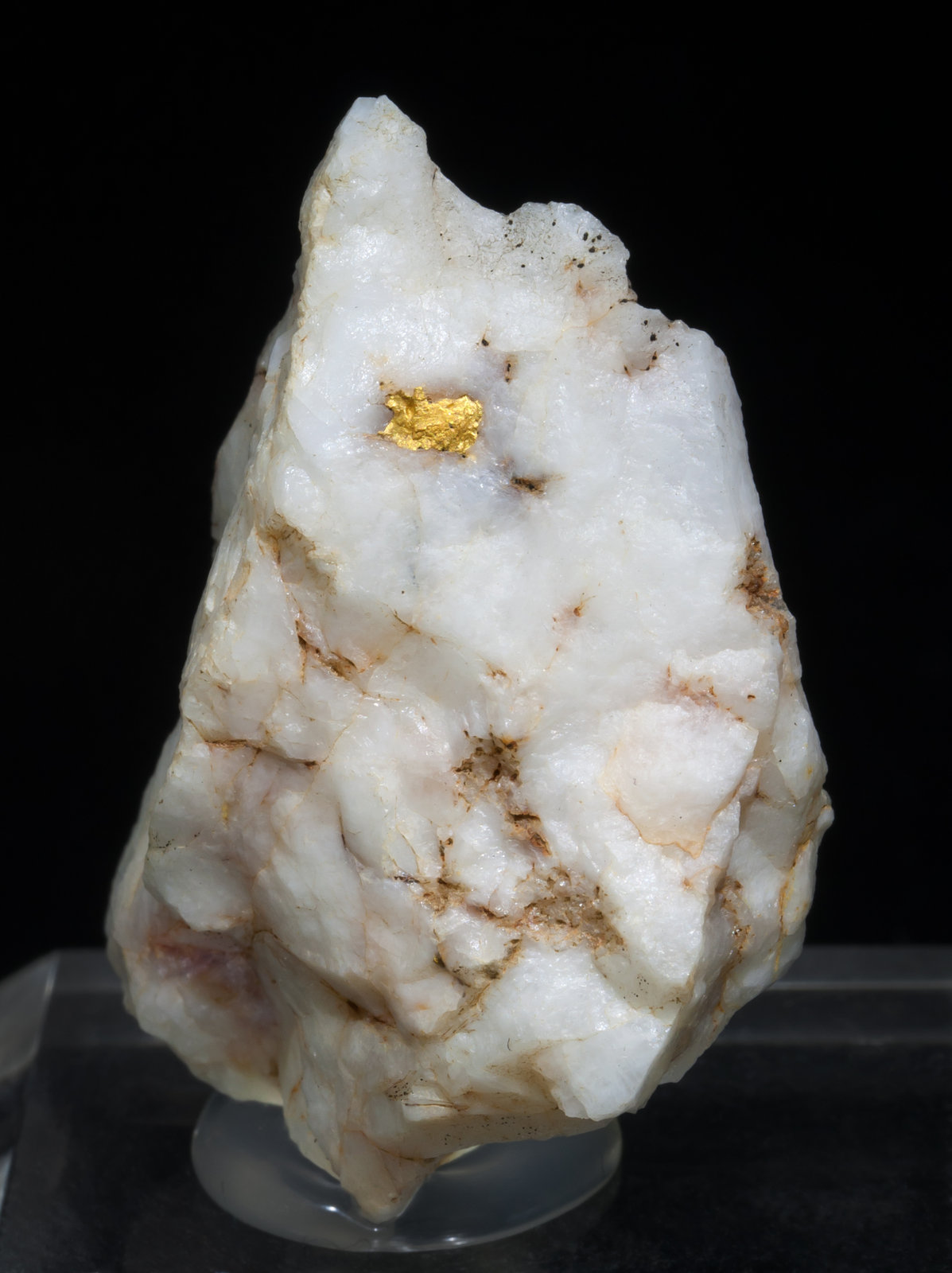 specimens/s_imagesAC4/Gold-NF76AC4f.jpg