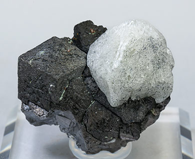 Scheelite on Magnetite.