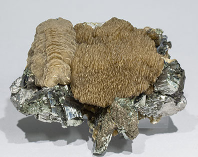Siderite with Arsenopyrite, Pyrite and Muscovite. Front
