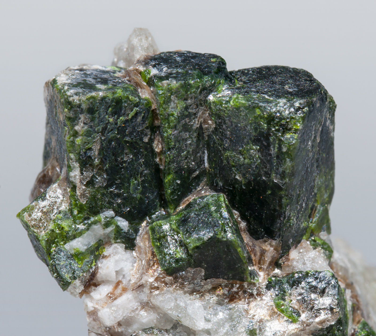 specimens/s_imagesAC5/Andalusite_viridine-MB66AC5d.jpg