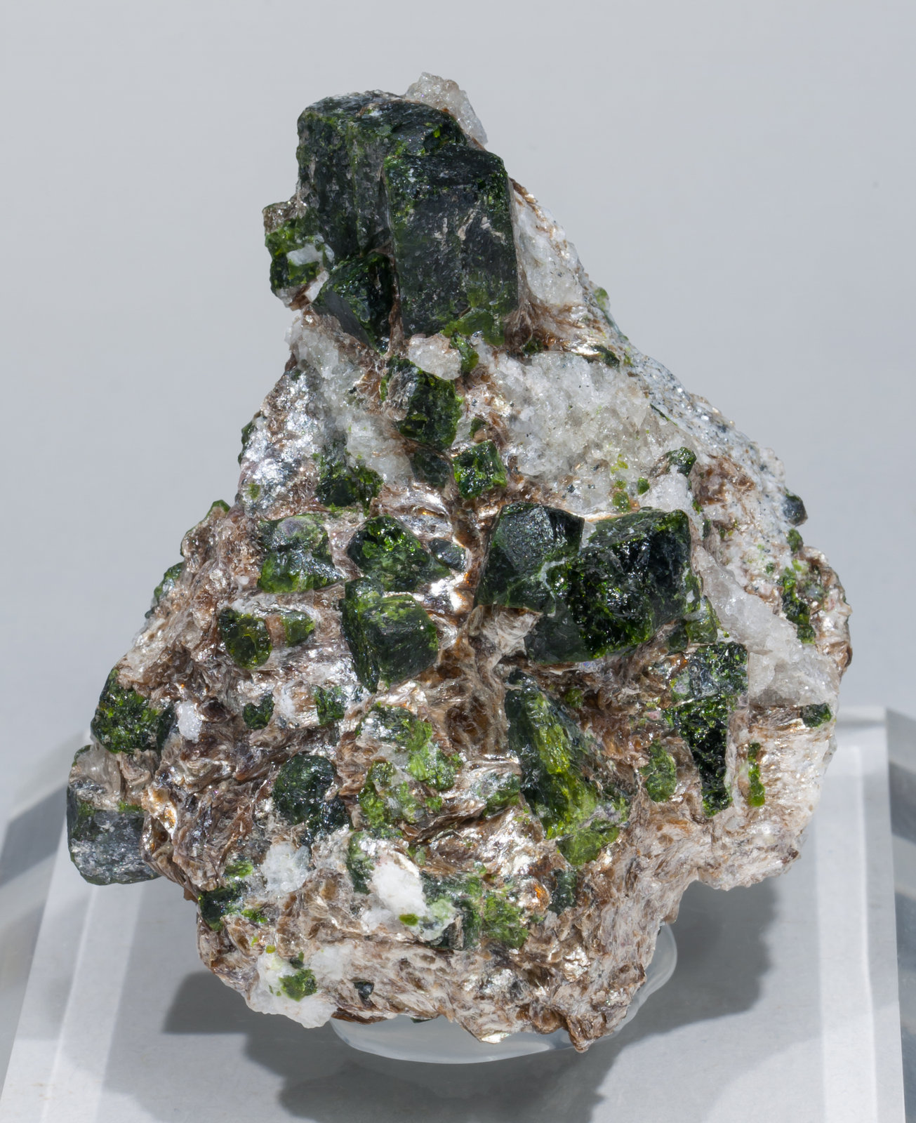 specimens/s_imagesAC5/Andalusite_viridine-MB66AC5f.jpg