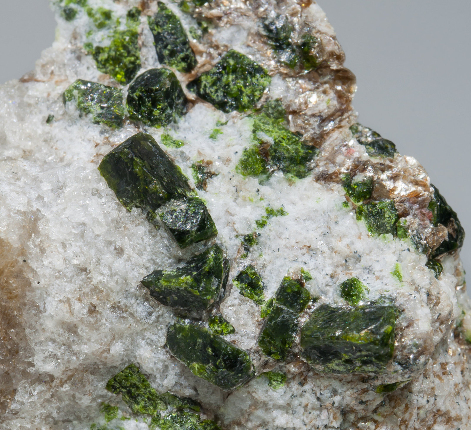 specimens/s_imagesAC5/Andalusite_viridine-MD16AC5d.jpg