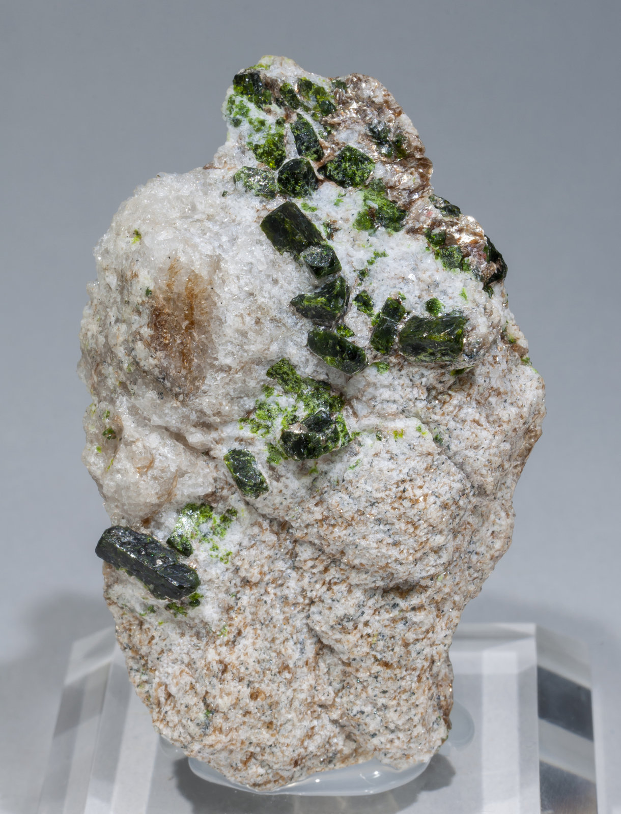 specimens/s_imagesAC5/Andalusite_viridine-MD16AC5f.jpg