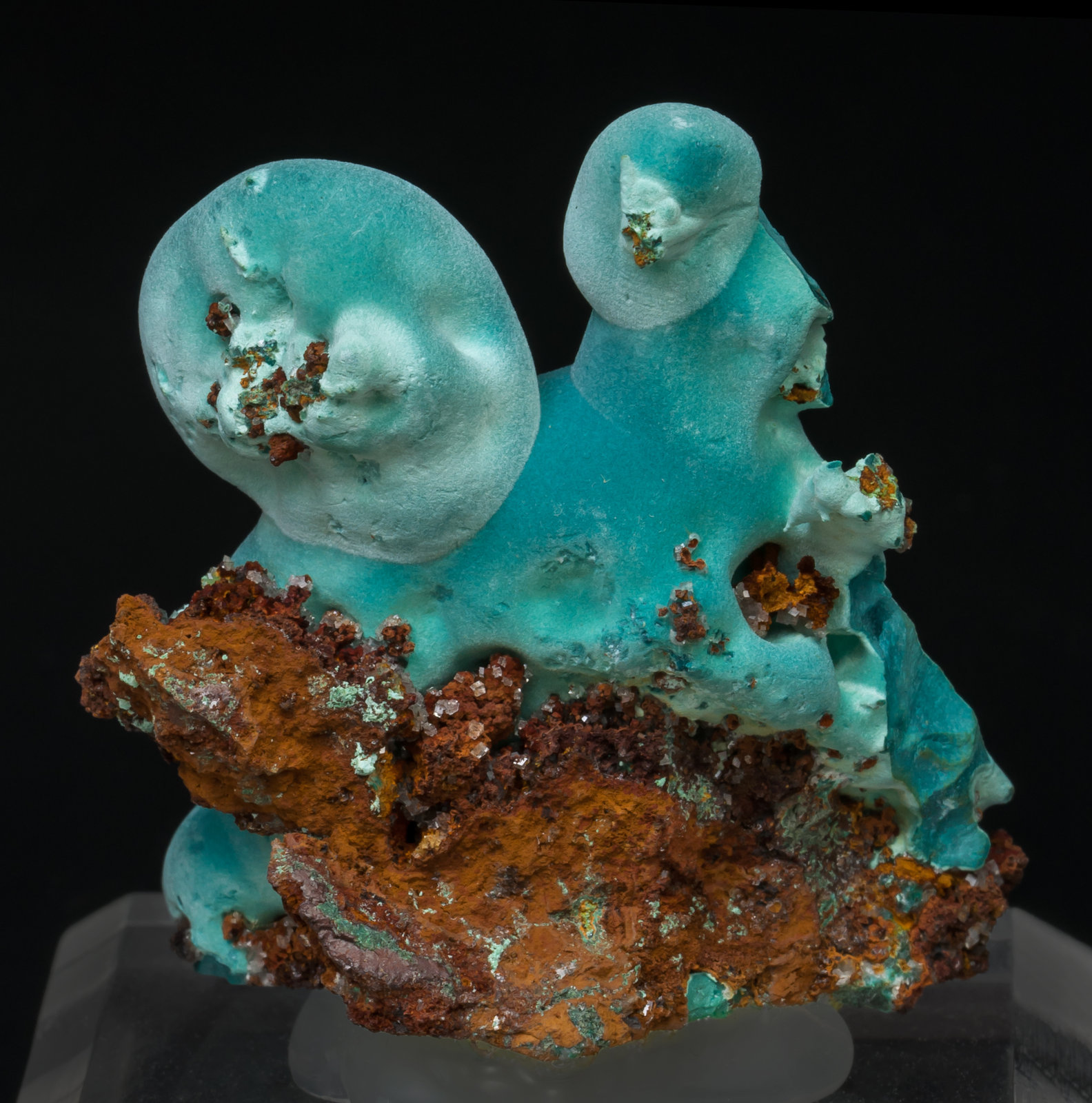 specimens/s_imagesAC5/Rosasite-TQ66AC5f.jpg