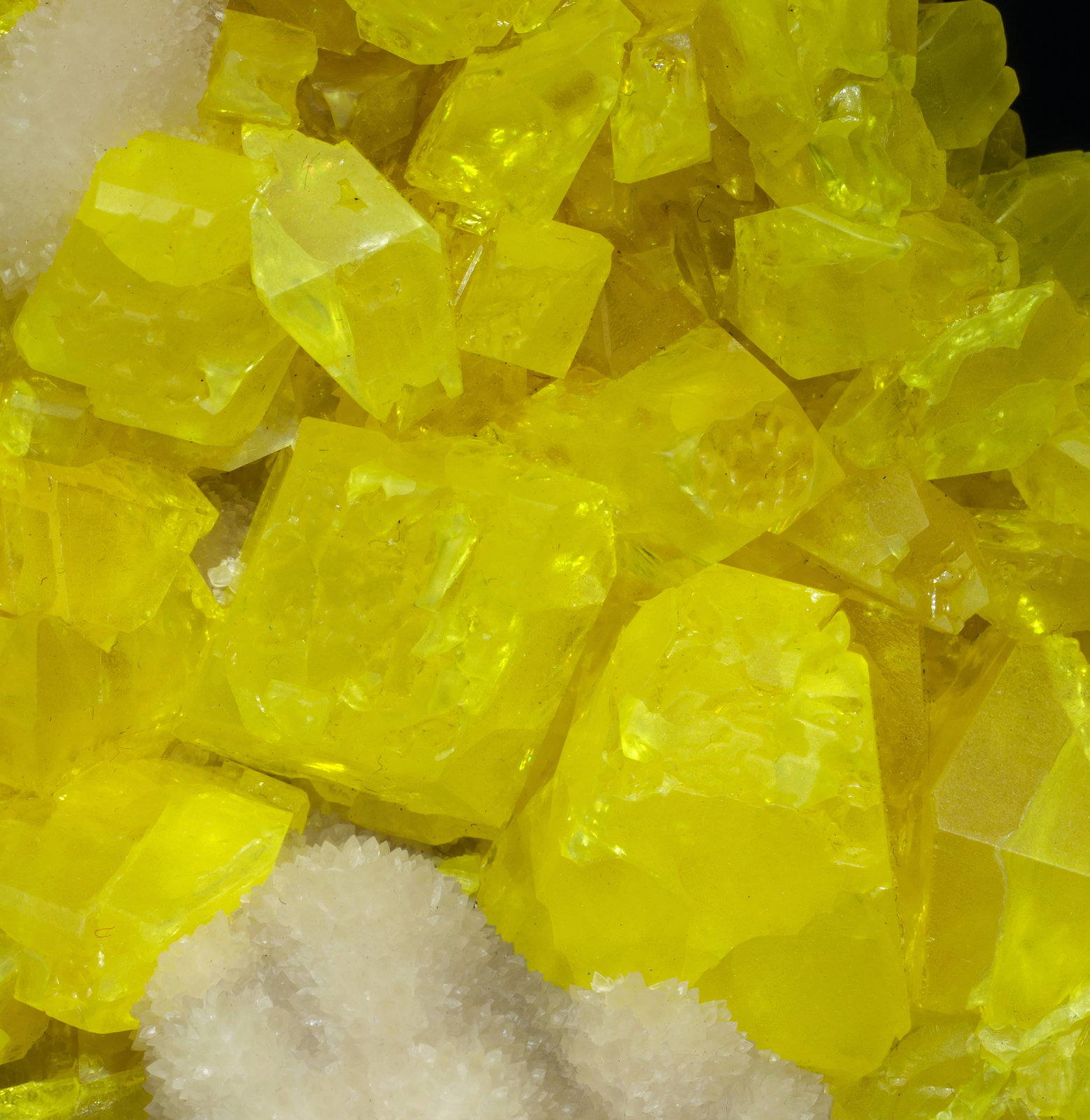 specimens/s_imagesAC5/Sulfur-VF50AC5d.jpg