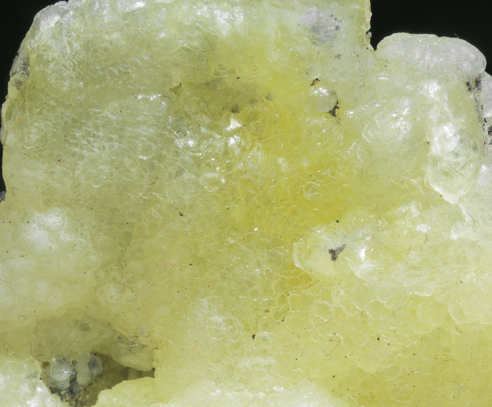 specimens/s_imagesAC6/Brucite-MC68AC6d.jpg