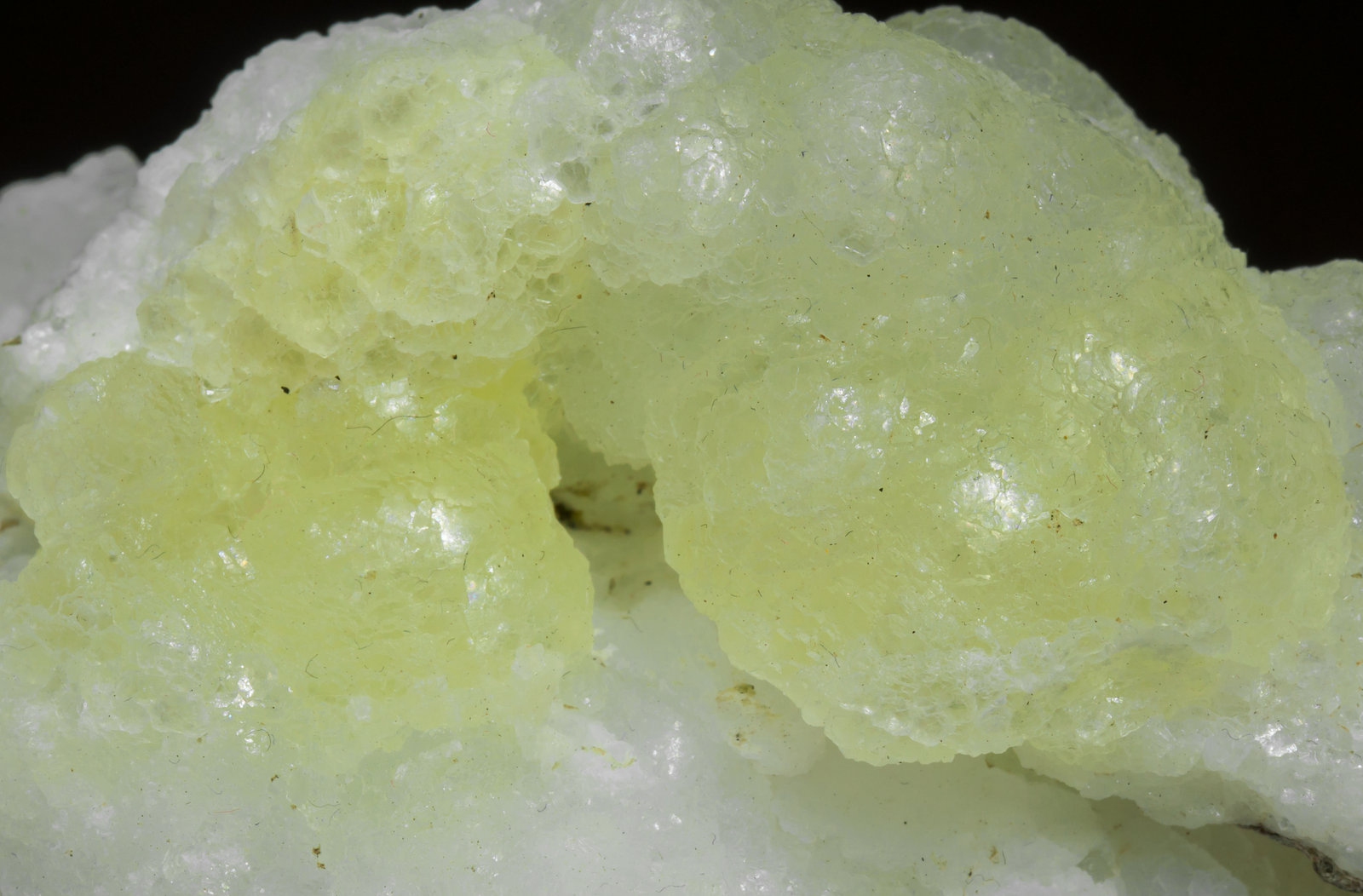 specimens/s_imagesAC6/Brucite-MJ77AC6d.jpg