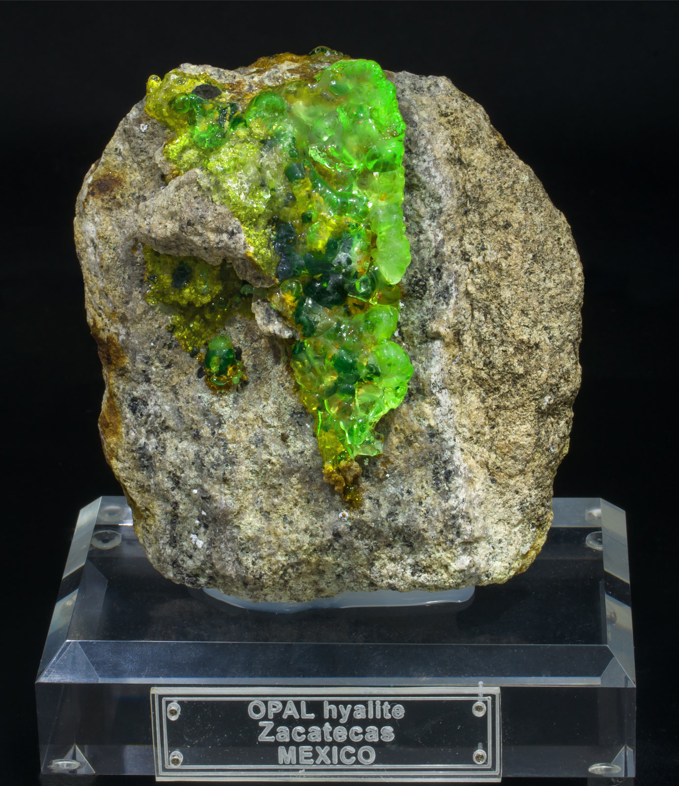 specimens/s_imagesAC6/Opal_hialite-TF66AC6f2.jpg