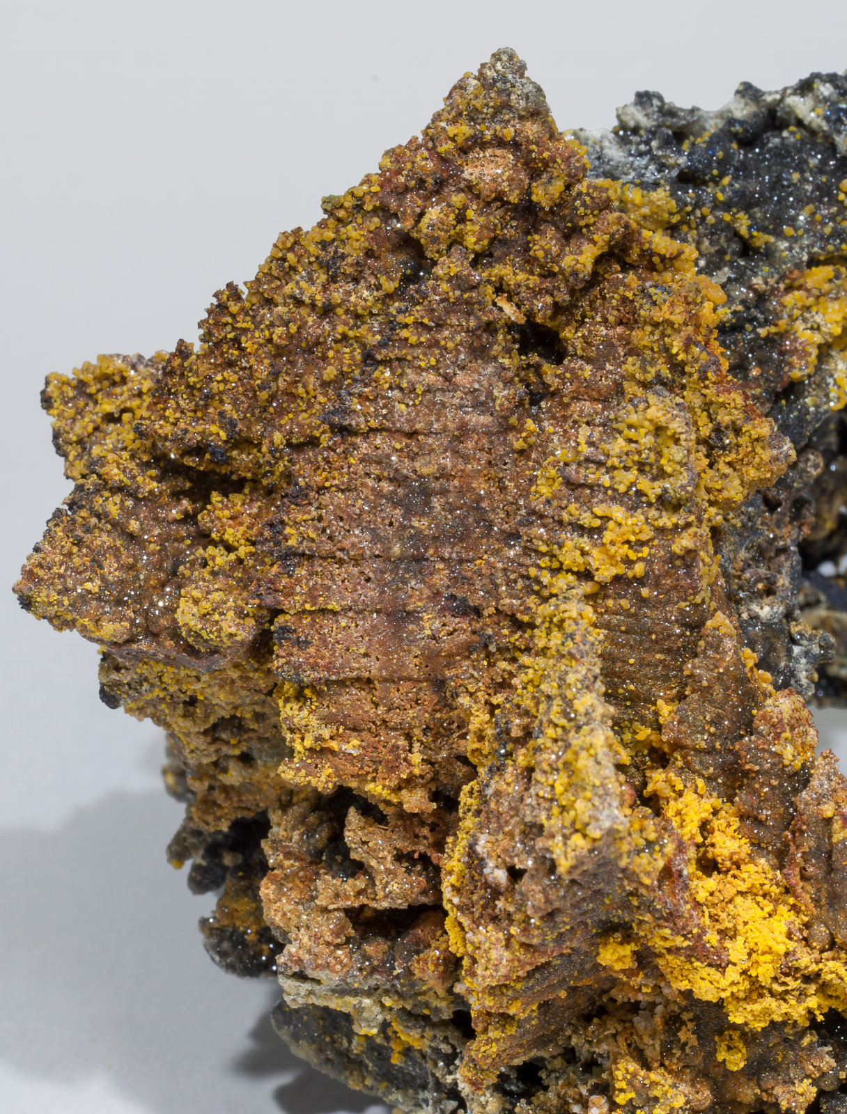 specimens/s_imagesAC6/Willemite-MC60AC6d.jpg