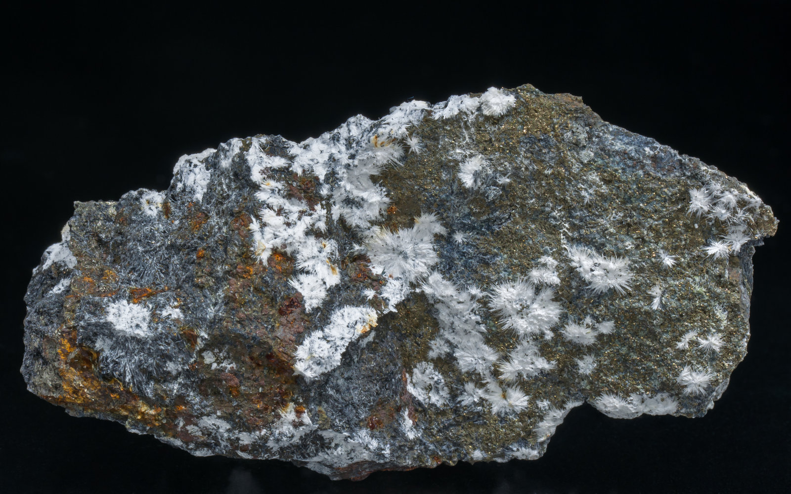 specimens/s_imagesAC7/Canavesite-SA86AC7f.jpg